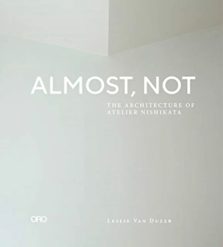 Almost, Not av Leslie Van Duzer