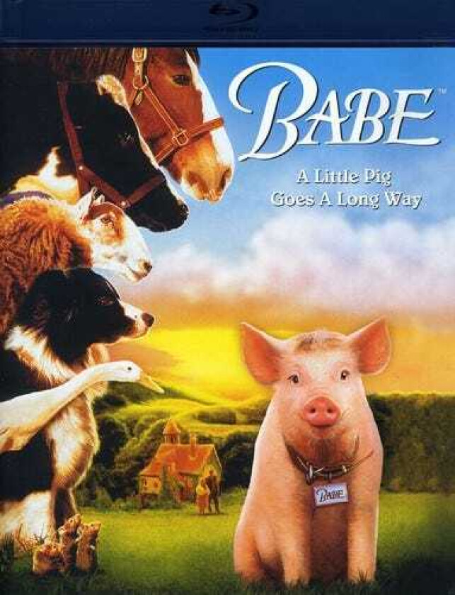 Babe (1995) Bluray