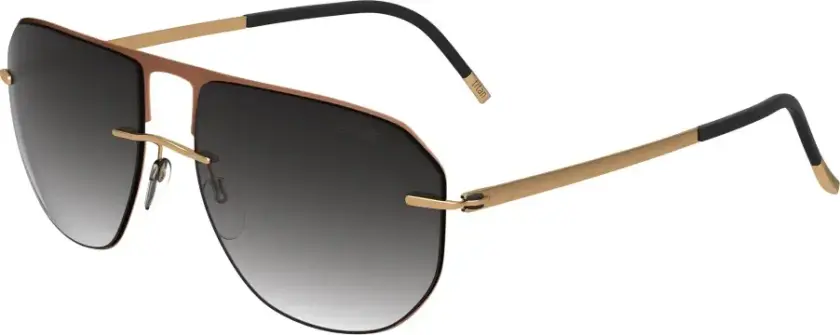 Herre, Accessories, Brun, ONE SIZE