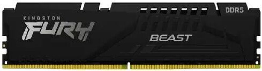 Fury Beast 8gb Ddr5 5600mhz Cl40 Black 8gb 5,600mhz Cl40 Ddr5 Sdram Dimm 288-pin