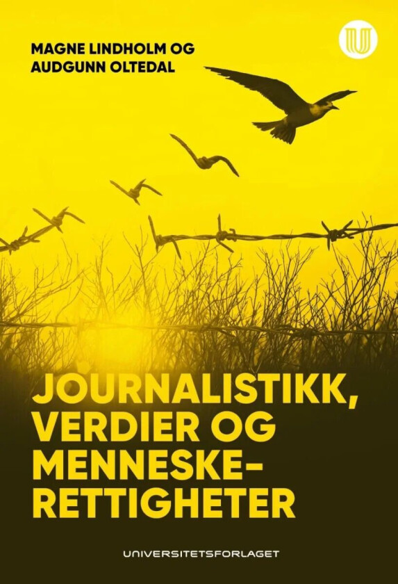 Journalistikk, verdier og menneskerettigheter av Magne Lindholm, Audgunn Oltedal