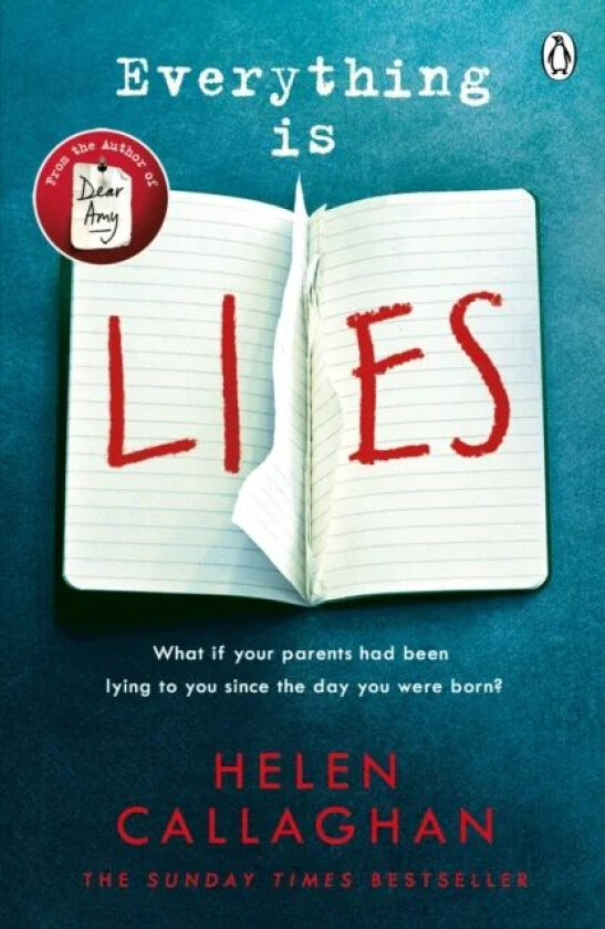 Everything Is Lies av Helen Callaghan