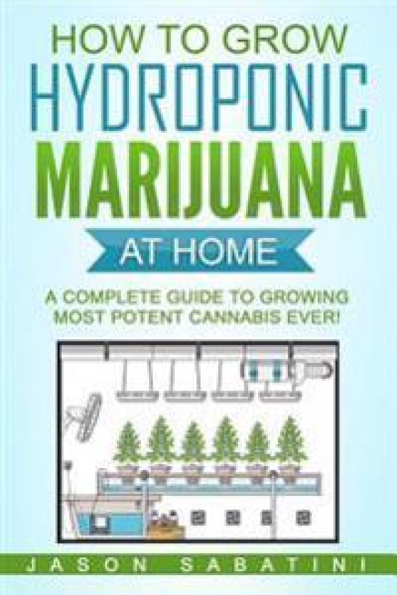 How to Grow Hydroponic Marijuana at Home: A Complete Guide to Growing Most Potent Cannabis Ever!