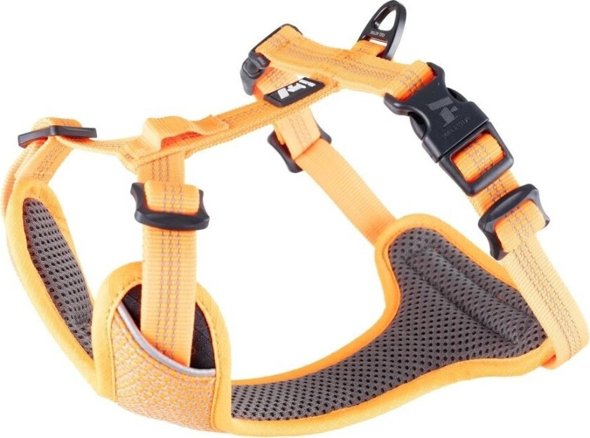 Feel Active Reflective Hundesele Oransje (M)
