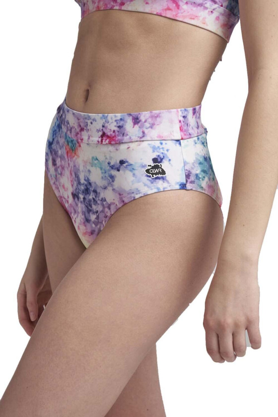 Women's High Waist Bikini L, Multicolour