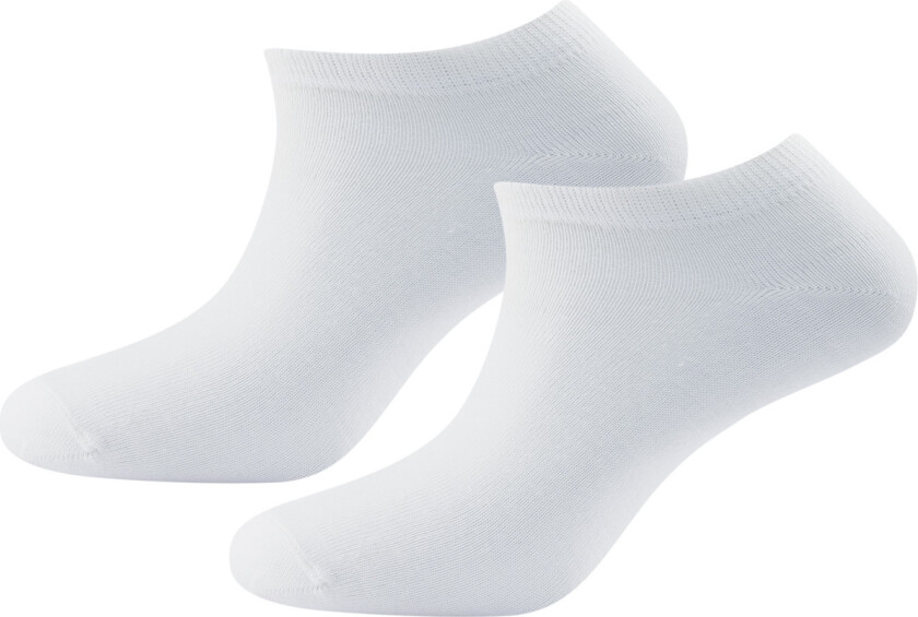 DAILY MERINO SHORTY SOCK 2PK