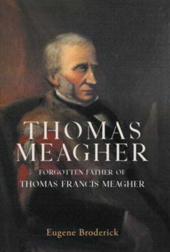 Thomas Meagher Forgotten Father of Thomas Francis Meagher