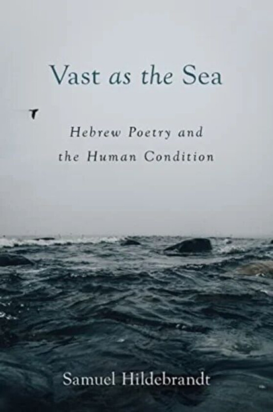 Vast as the Sea av Samuel Hildebrandt