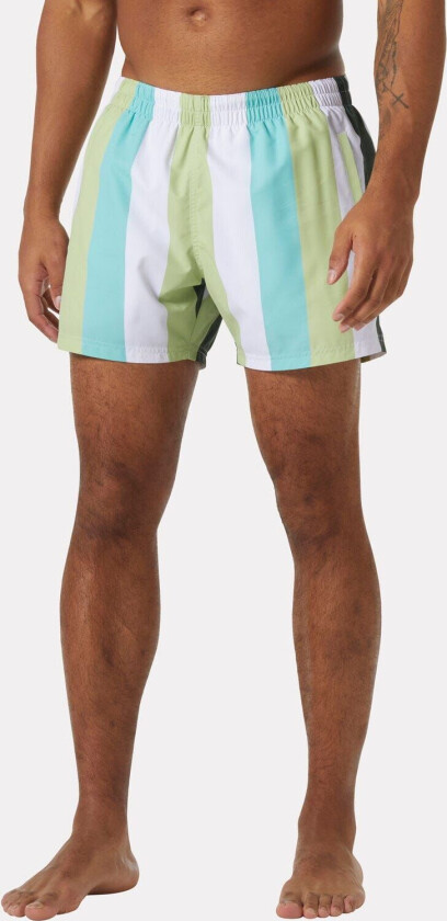 Herre Newport Badeshorts Grønn XL GrønnXL