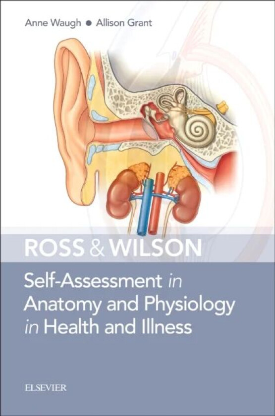 Ross & Wilson Self-Assessment in Anatomy and Physiology in Health and Illness av Anne Waugh, Allison BSc PhD RGN Grant
