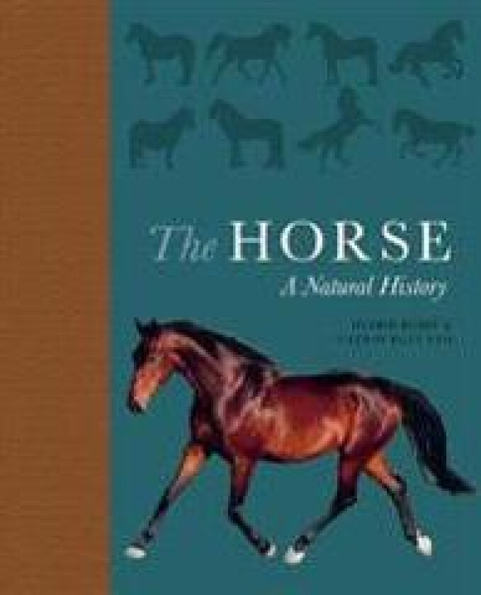 The Horse: A Natural History