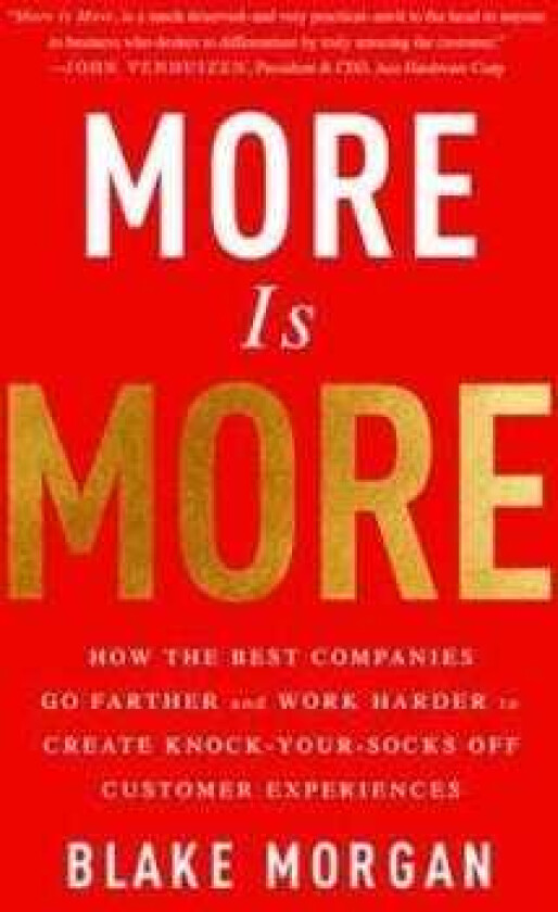 More Is More How the Best Companies Go Farther and Work Harder to Create KnockYourSocksOff Customer Experiences