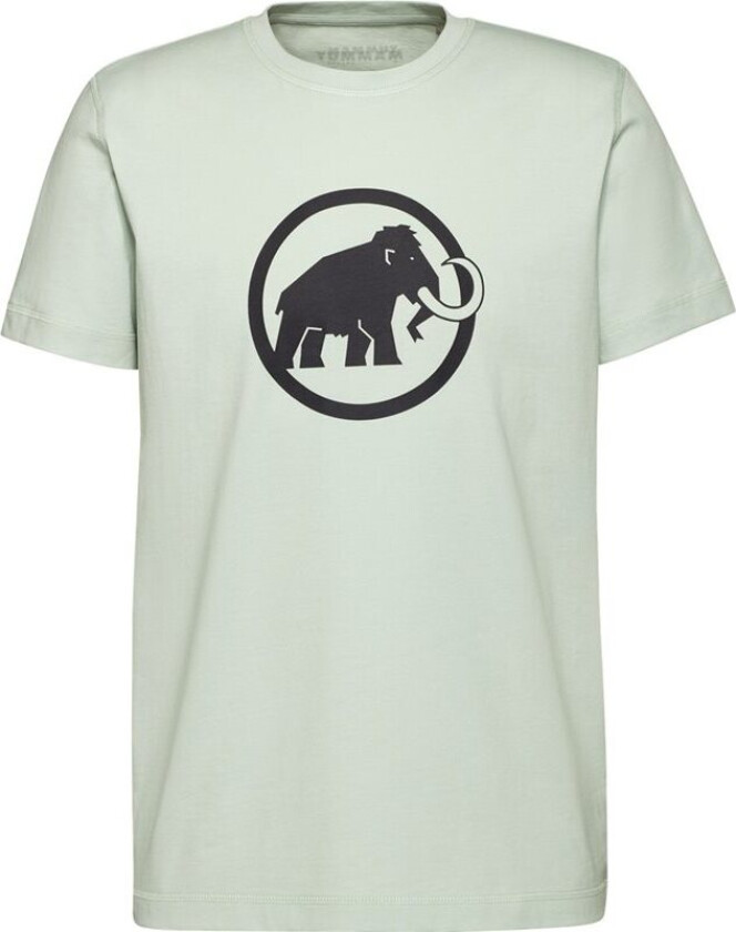 Core T-ShirtMen Classic Silver Sage