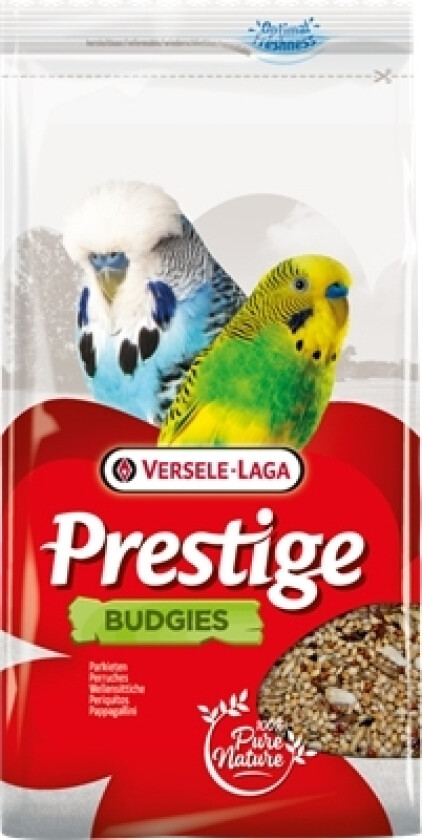 Versele-Laga Budgies 1Kg, Frø, 1 Kg, Papegøye, Yellow Millet 30%, Red Millet 12%, Shelled Oats 10.5%, White Millet 38%, Canary Seed 4%, Linseed..., 1