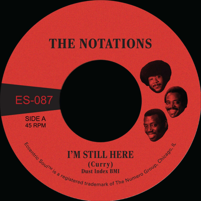 The Notations I'm Still Here / What More Can I Say LP/Vinyl