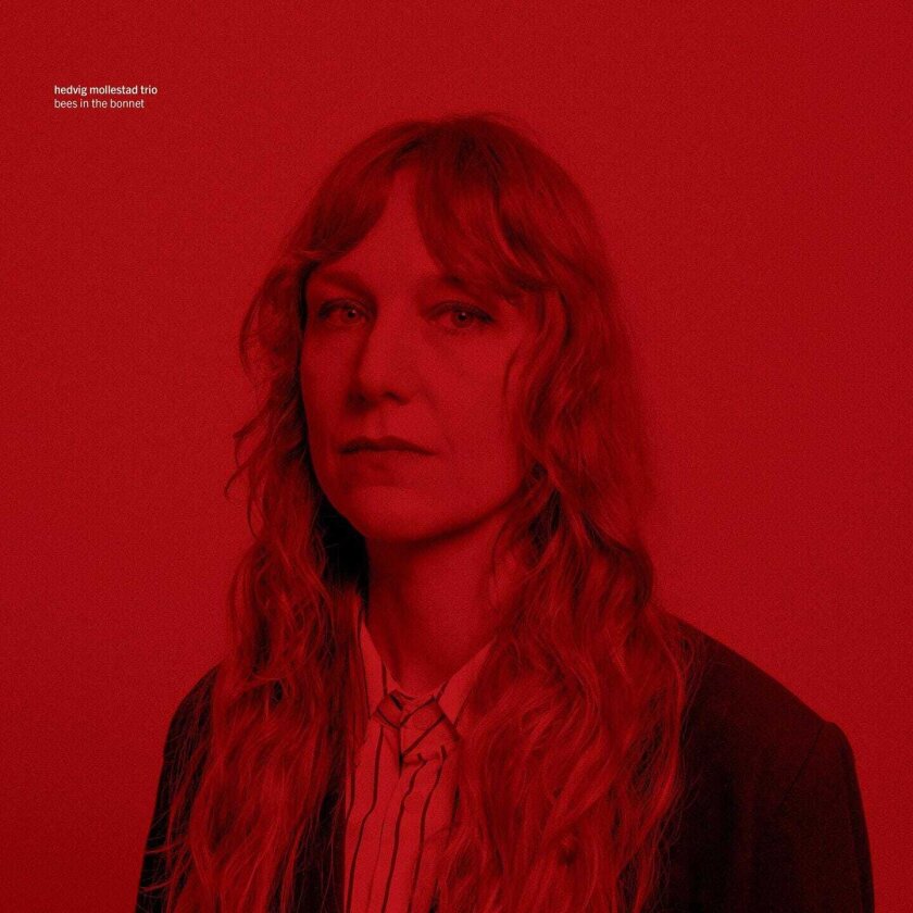 Hedvig Mollestad Trio Bees In The Bonnet CD