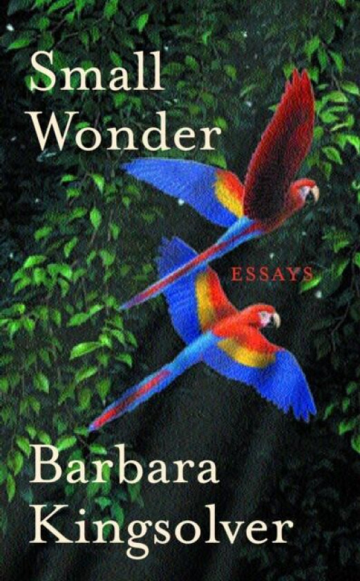 Small Wonder av Barbara Kingsolver