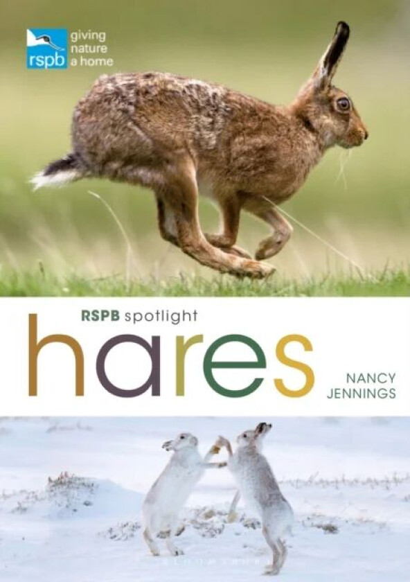 RSPB Spotlight Hares av Nancy Jennings