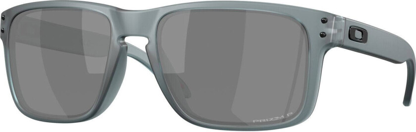 Holbrook m/PRIZM 24K Polarized