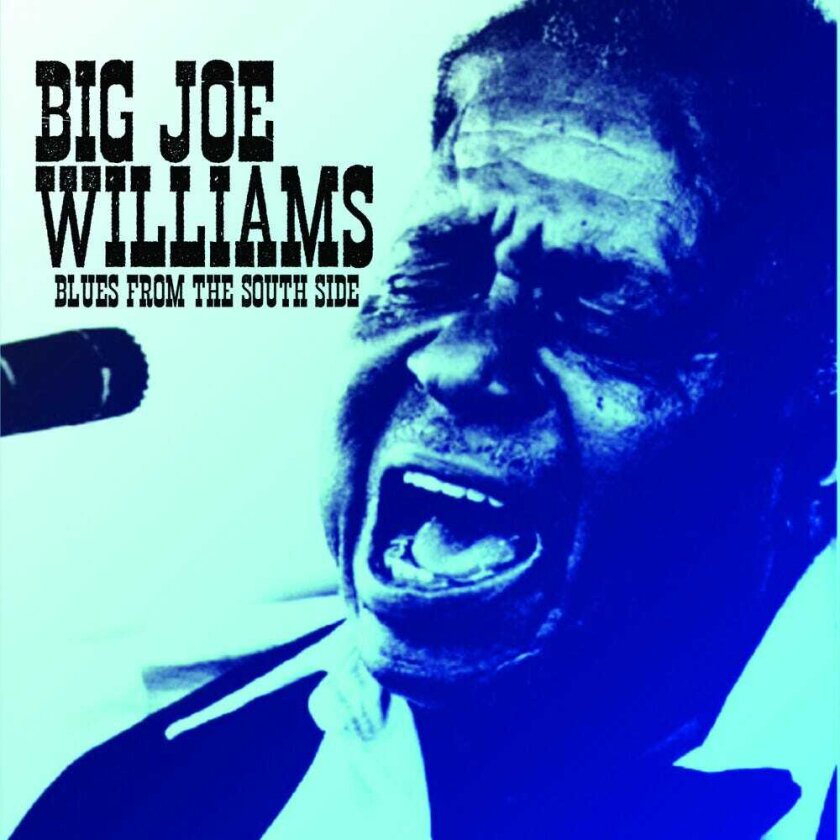 Big Joe Williams Blues From The South Side CD