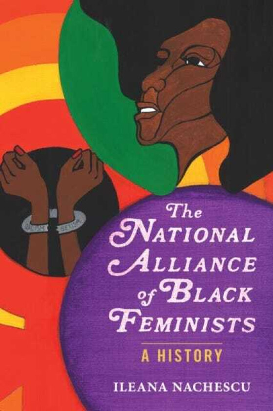 The National Alliance of Black Feminists A History