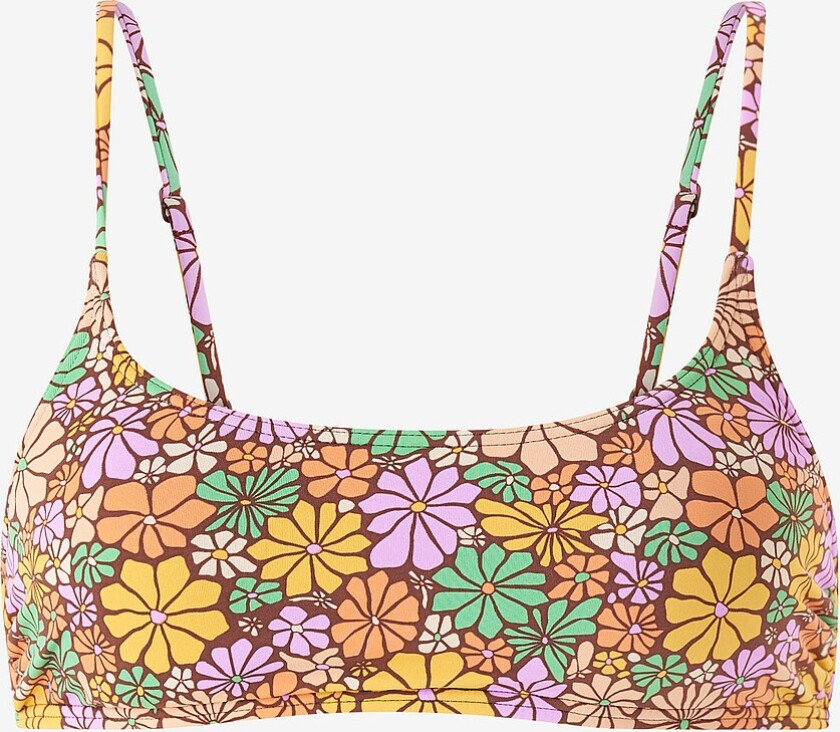 Bikini BH All About Sol - Brun