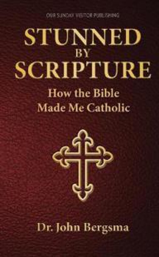 Stunned by Scripture