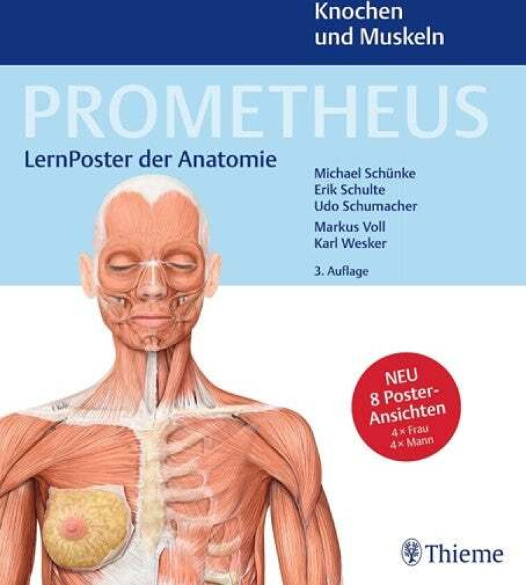 PROMETHEUS LernPoster der Anatomie av Michael Schünke