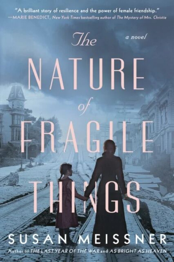The Nature Of Fragile Things av Susan Meissner