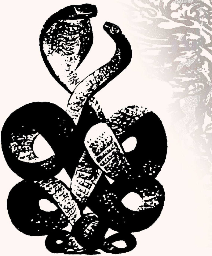 Bardo Pond Volume 4 & 5 LP/Vinyl