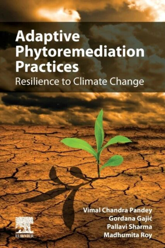 Adaptive Phytoremediation Practices av Vimal Chandra (Department of Environmental Science Babasaheb Bhimrao Ambedkar University Lucknow Uttar Pradesh