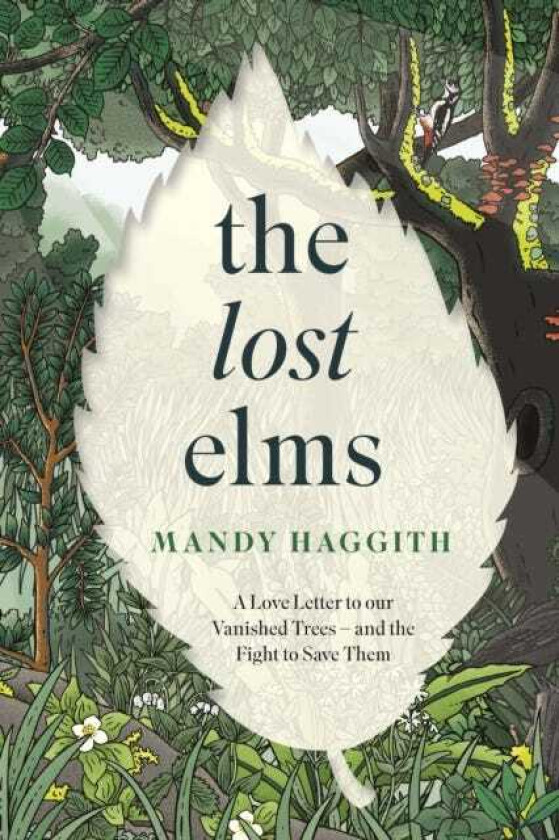 The Lost Elms A Love Letter to Our Vanished Trees and the Fight to Save Them