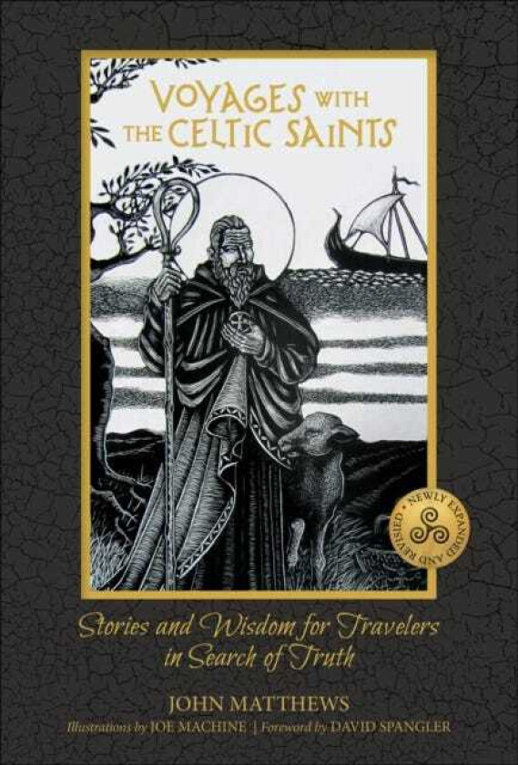 Voyages with the Celtic Saints Stories and Wisdom for Travelers in Search of Truth