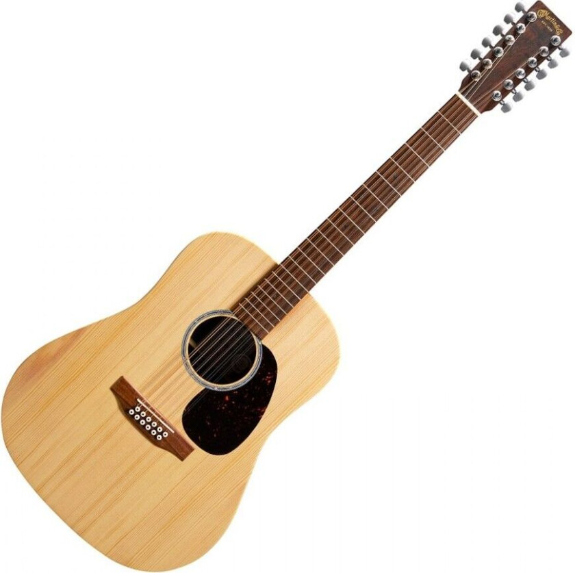 D-X2E Brazilian Rosewood 12 String