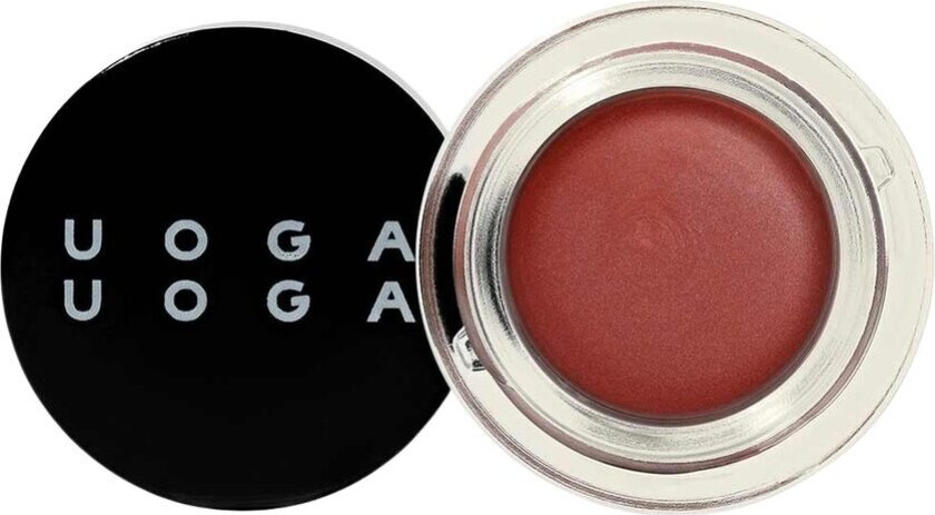 Lip & Cheek Tint 2-in-1 Creamy Blush And Lip Colour Ten