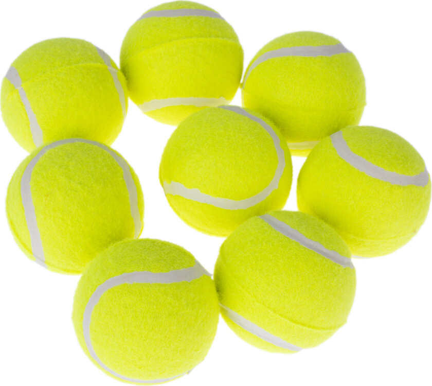 zooplus Basics tennisballsett - 8 stykker: Ø 6,3 cm