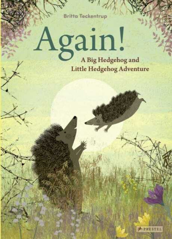 Again! A Big Hedgehog and Little Hedgehog Adventure