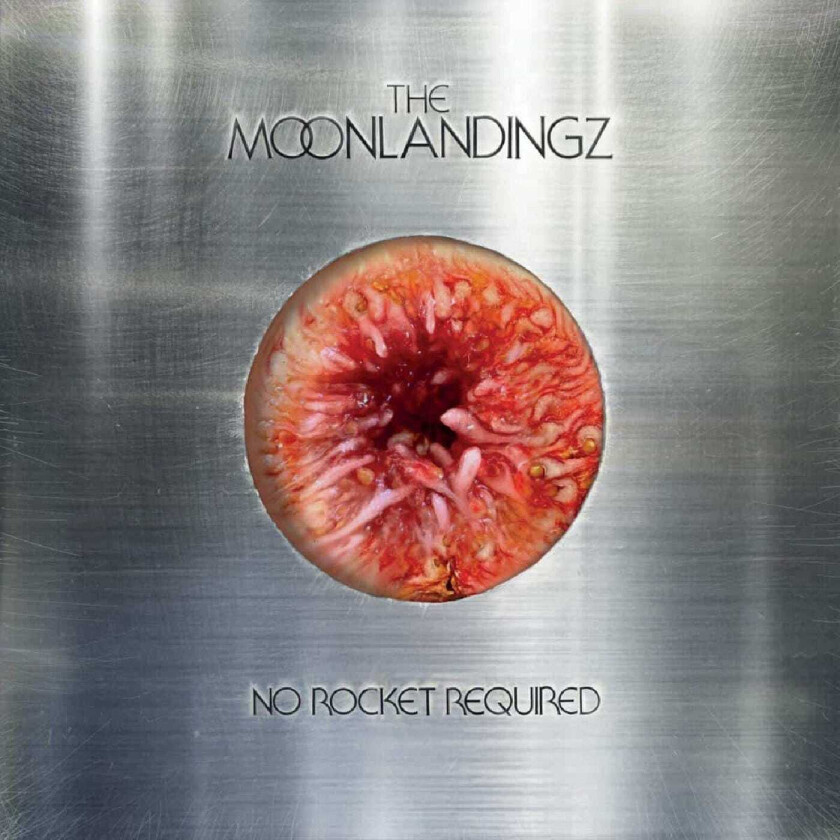 The Moonlandingz No Rocket Required CD