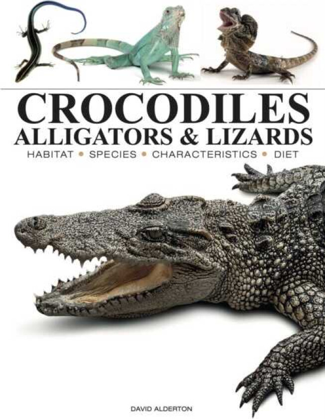 Crocodiles, Alligators & Lizards