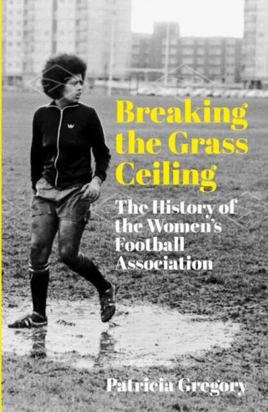 Breaking the Grass Ceiling The History of the Women's Football Association