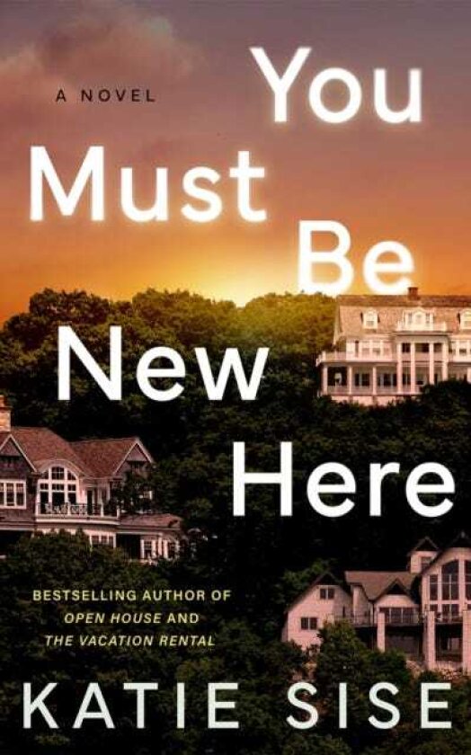 You Must Be New Here A Novel
