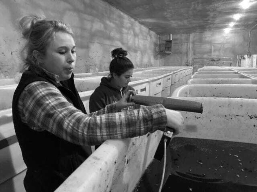 Crush My Year as an Apprentice Winemaker