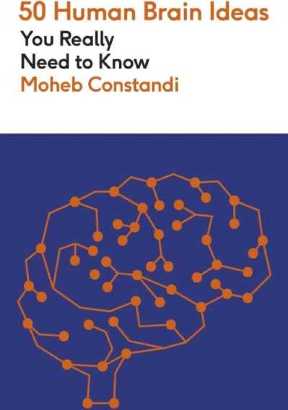 50 Human Brain Ideas You Really Need to Know