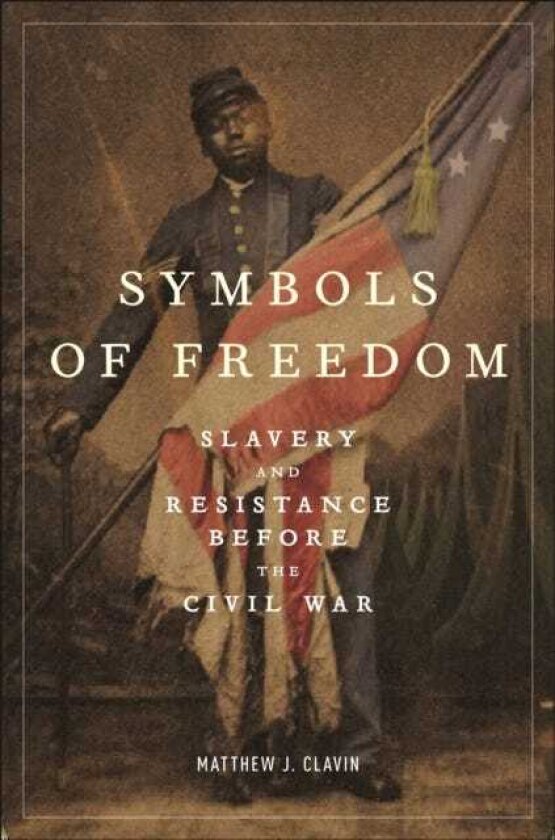 Symbols of Freedom Slavery and Resistance Before the Civil War