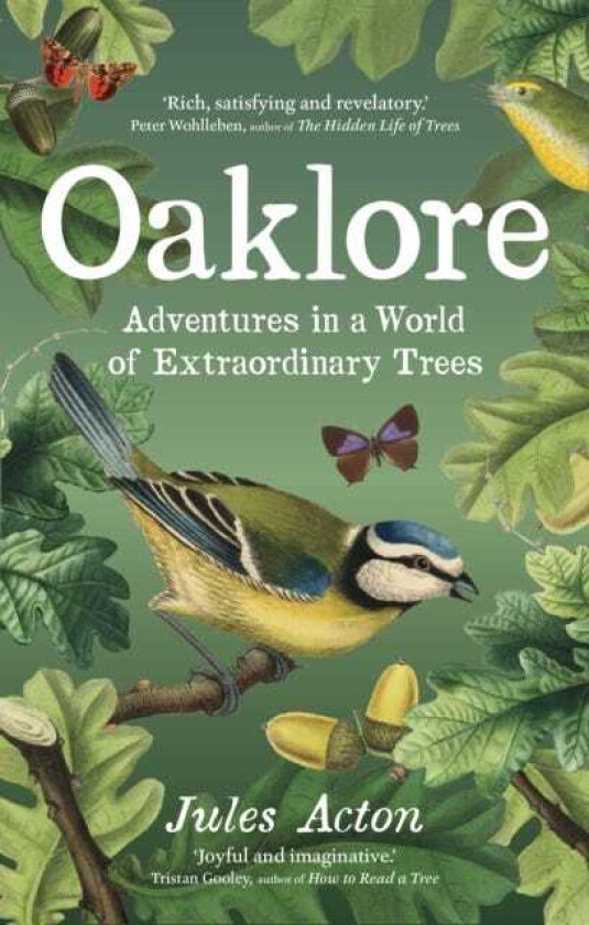 Oaklore  Adventures in a World of Extraordinary Trees