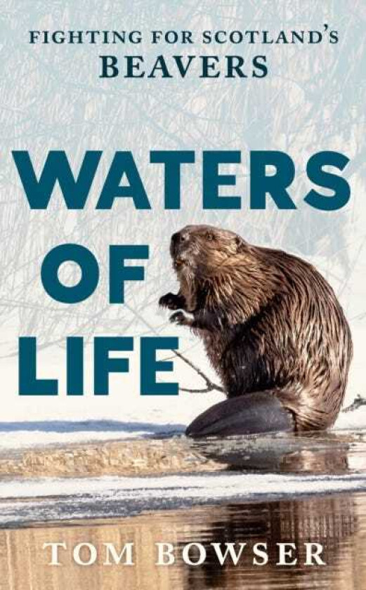 Waters of Life Fighting for Scotland’s Beavers