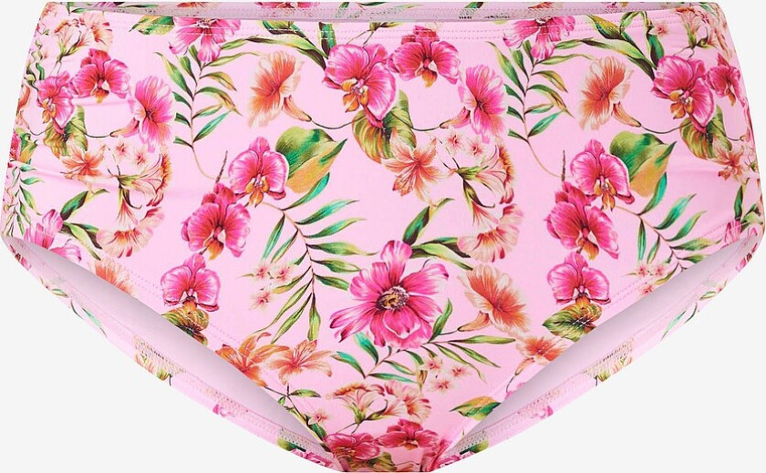 Hipster Bikini Rosa - Rosa