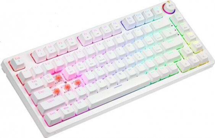 Savio Phenix Hvit Gat Rød Tastatur Gaming Bluetooth Qwerty International Layout Eer Hvit