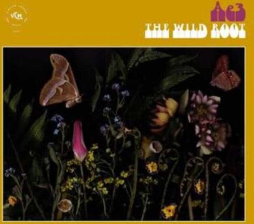Alan Evans The Wild Root CD