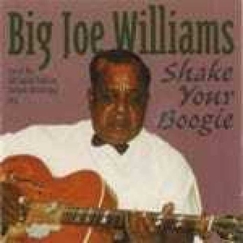 Big Joe Williams Shake Your Boogie CD